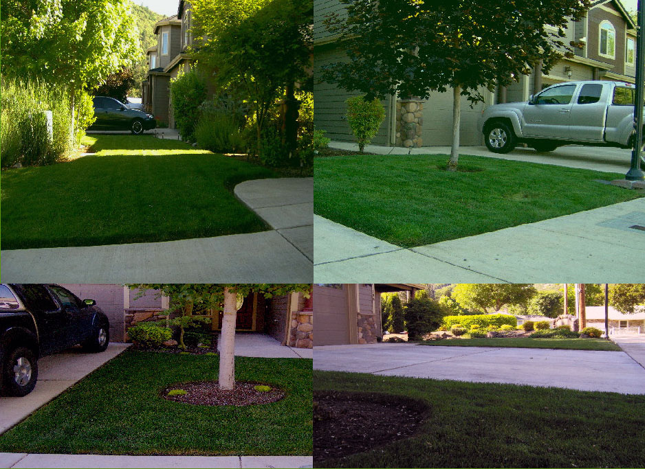 Lawn King Lawn Care Services