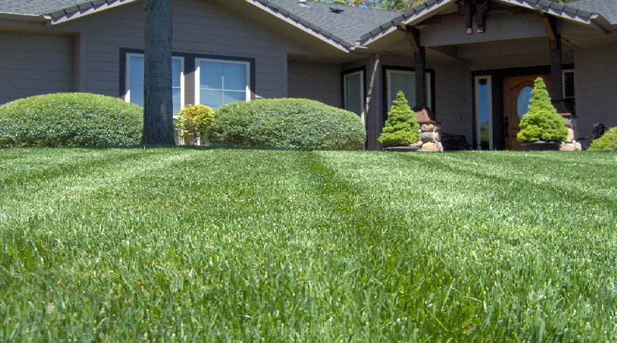 Lawn King Lawn Care Services